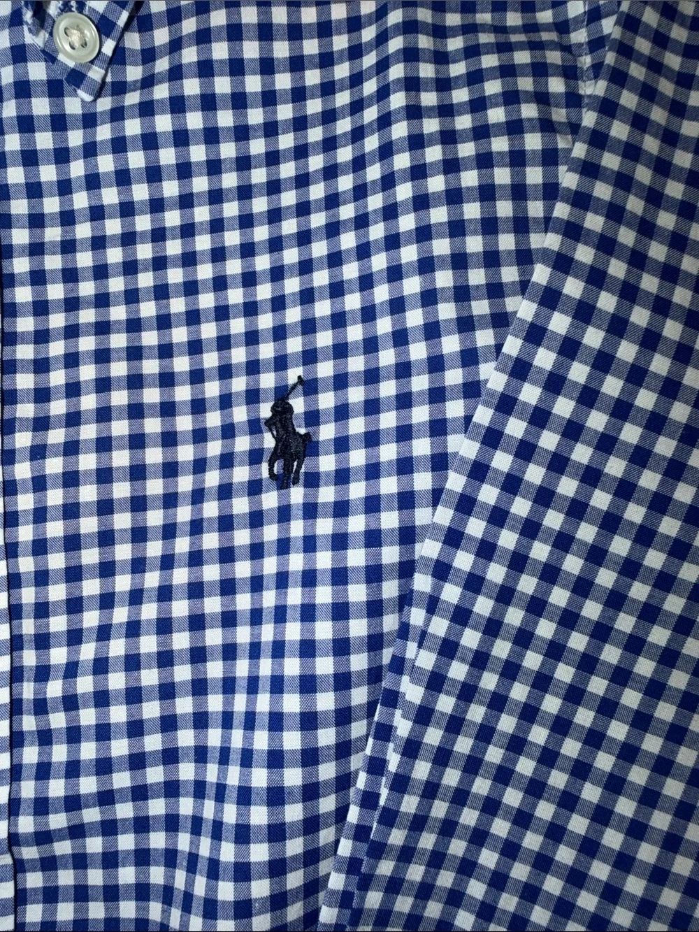 Boy's Ralph Lauren Blue and White Gingham Button-Down Shirt